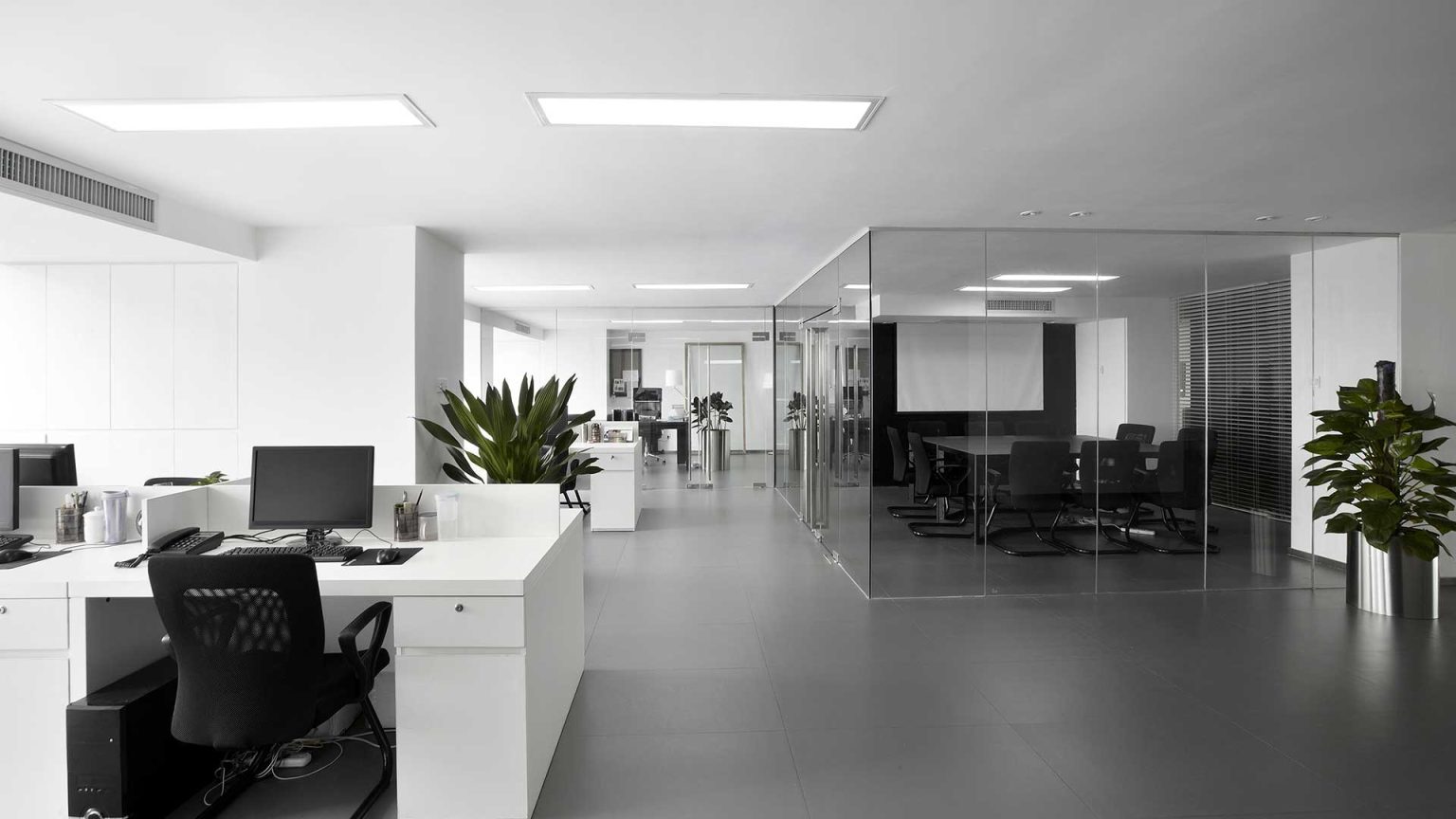 Open-plan commercial office fit-out with glazed meeting rooms